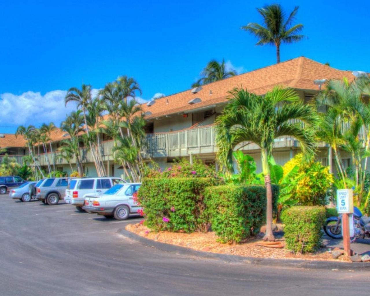 Bay Surf 130- Garden View Studio, Free Parking Kihei